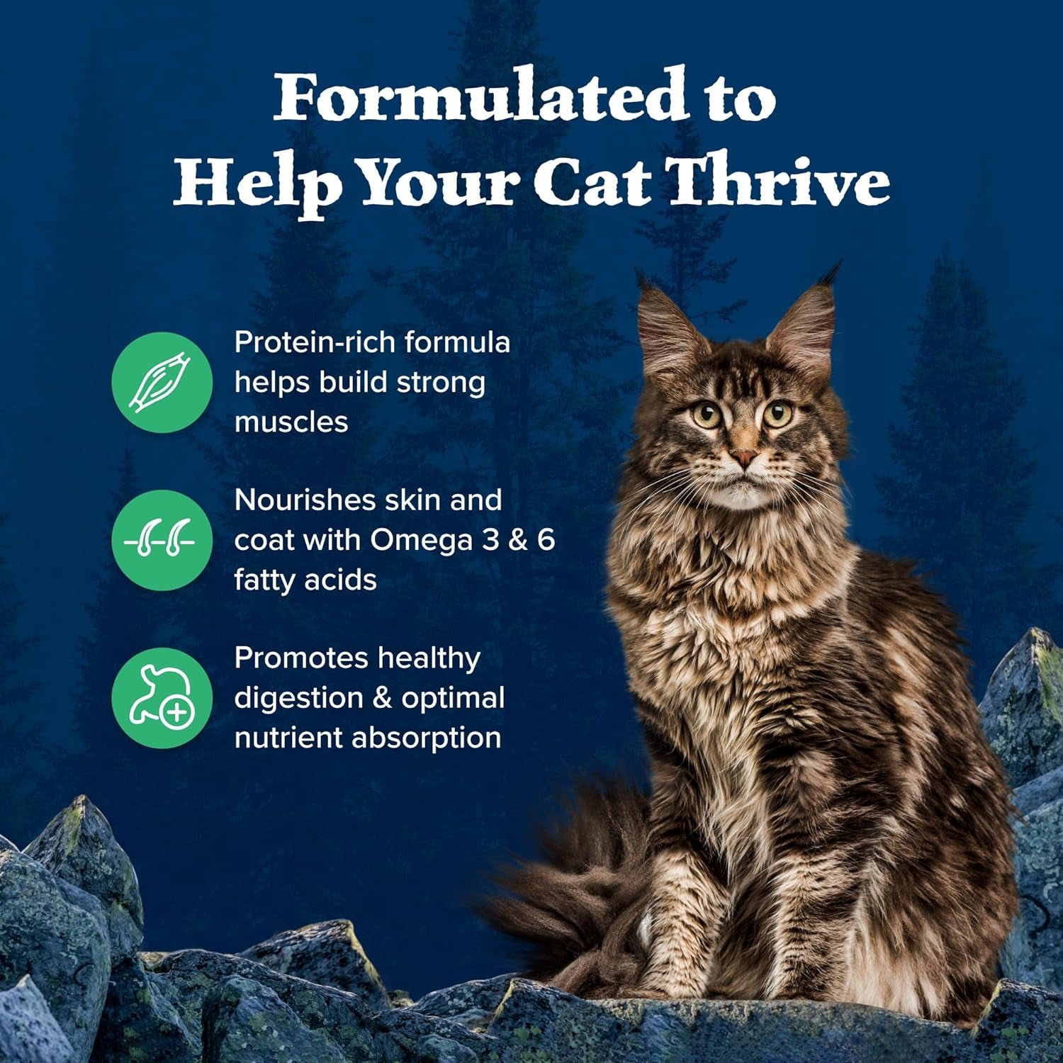 Wilderness High Protein Grain Free, Natural Adult Dry Cat Food